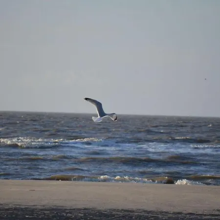 1 Boehler Butendiek Comfortable